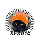 くろ猫さんのスタンプ②（個別スタンプ：9）