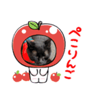 くろ猫さんのスタンプ②（個別スタンプ：13）