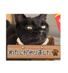 くろ猫さんのスタンプ②（個別スタンプ：14）