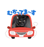 くろ猫さんのスタンプ②（個別スタンプ：15）