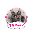 くろ猫さんのスタンプ②（個別スタンプ：19）