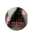 ロロちゃんスタンプ2（個別スタンプ：16）