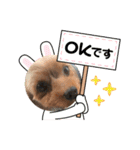 名前はレオ♪♪（個別スタンプ：5）