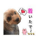 名前はレオ♪♪（個別スタンプ：15）