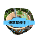月山線スタンプ日薬菜naハハノヒ胡瓜ぱあ（個別スタンプ：6）