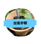 月山線スタンプ日薬菜naハハノヒ胡瓜ぱあ（個別スタンプ：9）