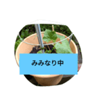 月山線スタンプ日薬菜naハハノヒ胡瓜ぱあ（個別スタンプ：13）