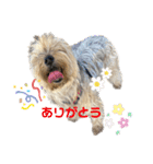 むぎのスタンプ待望の第2弾‼︎‼︎（個別スタンプ：2）