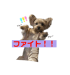 むぎのスタンプ待望の第2弾‼︎‼︎（個別スタンプ：9）