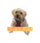 むぎのスタンプ待望の第2弾‼︎‼︎（個別スタンプ：14）