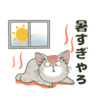 【梅雨＊夏】仔猫のぽんにゃん【飛び出す】（個別スタンプ：2）