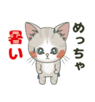 【梅雨＊夏】仔猫のぽんにゃん【飛び出す】（個別スタンプ：3）