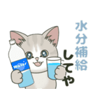 【梅雨＊夏】仔猫のぽんにゃん【飛び出す】（個別スタンプ：5）