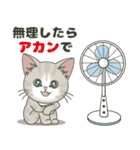 【梅雨＊夏】仔猫のぽんにゃん【飛び出す】（個別スタンプ：7）