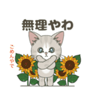 【梅雨＊夏】仔猫のぽんにゃん【飛び出す】（個別スタンプ：12）