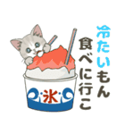 【梅雨＊夏】仔猫のぽんにゃん【飛び出す】（個別スタンプ：14）