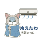 【梅雨＊夏】仔猫のぽんにゃん【飛び出す】（個別スタンプ：15）