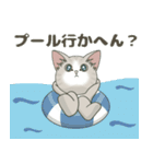 【梅雨＊夏】仔猫のぽんにゃん【飛び出す】（個別スタンプ：16）