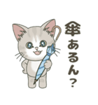 【梅雨＊夏】仔猫のぽんにゃん【飛び出す】（個別スタンプ：18）