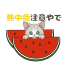 【梅雨＊夏】仔猫のぽんにゃん【飛び出す】（個別スタンプ：24）