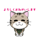 タクティカルにゃんこ_#6（個別スタンプ：1）