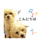 双子犬の夢とまめ2（個別スタンプ：2）