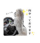 双子犬の夢とまめ2（個別スタンプ：14）