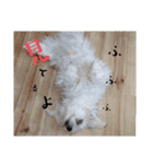 双子犬の夢とまめ2（個別スタンプ：23）