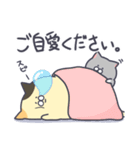 もりもりねこ（かしこまりver）前編（個別スタンプ：16）