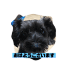 アンちゃんファミリー・お仕事編（個別スタンプ：1）