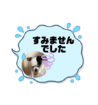 アンちゃんファミリー・お仕事編（個別スタンプ：4）