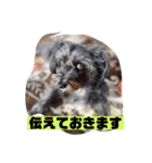 アンちゃんファミリー・お仕事編（個別スタンプ：5）