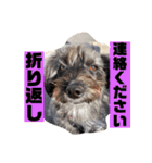 アンちゃんファミリー・お仕事編（個別スタンプ：6）