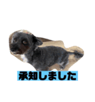 アンちゃんファミリー・お仕事編（個別スタンプ：8）