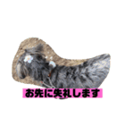 アンちゃんファミリー・お仕事編（個別スタンプ：9）