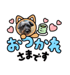 アンちゃんファミリー・お仕事編（個別スタンプ：17）