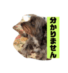 アンちゃんファミリー・お仕事編（個別スタンプ：20）