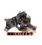 アンちゃんファミリー・お仕事編（個別スタンプ：21）