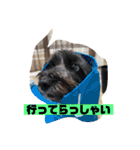 アンちゃんファミリー・お仕事編（個別スタンプ：23）