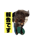 アンちゃんファミリー・お仕事編（個別スタンプ：24）