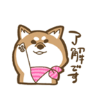 元気な柴犬 あんじゅちゃん（個別スタンプ：14）