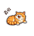 画像は text_cat_01 と一致しません（個別スタンプ：29）