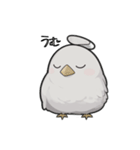 AI インコ（個別スタンプ：1）