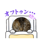 メロンのかわいいスタンプ！（個別スタンプ：5）