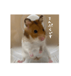 喋る てんぷら（個別スタンプ：2）