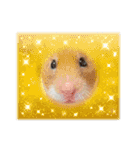 喋る てんぷら（個別スタンプ：13）