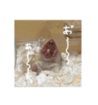 喋る てんぷら（個別スタンプ：19）