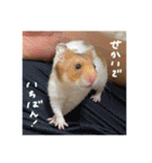 喋る てんぷら（個別スタンプ：20）