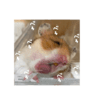 喋る てんぷら（個別スタンプ：22）