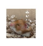 喋る てんぷら（個別スタンプ：24）